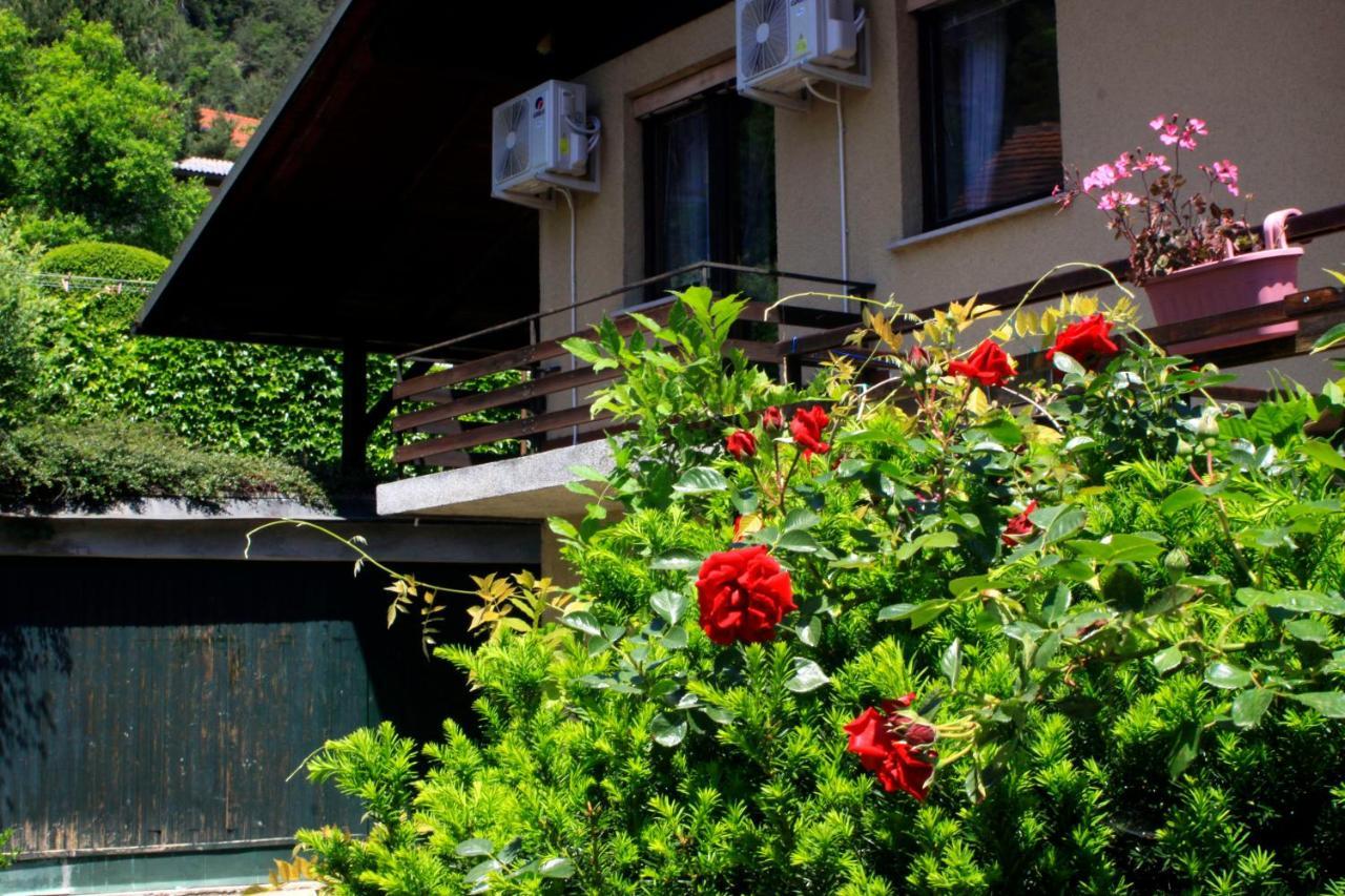 Hotel Na Kopitarjevi Laško Exterior foto